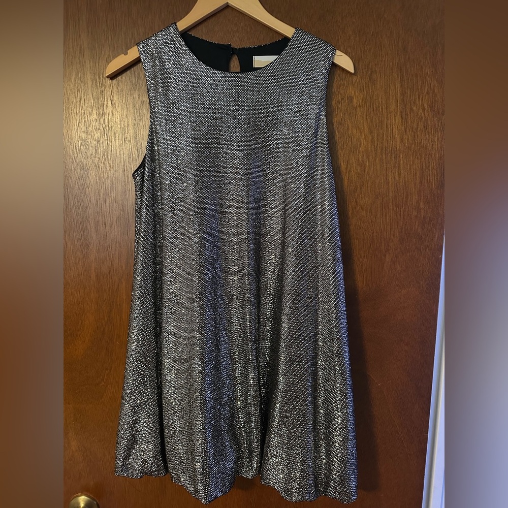 NWOT LIZARD THICKET Silver Bubble Dress